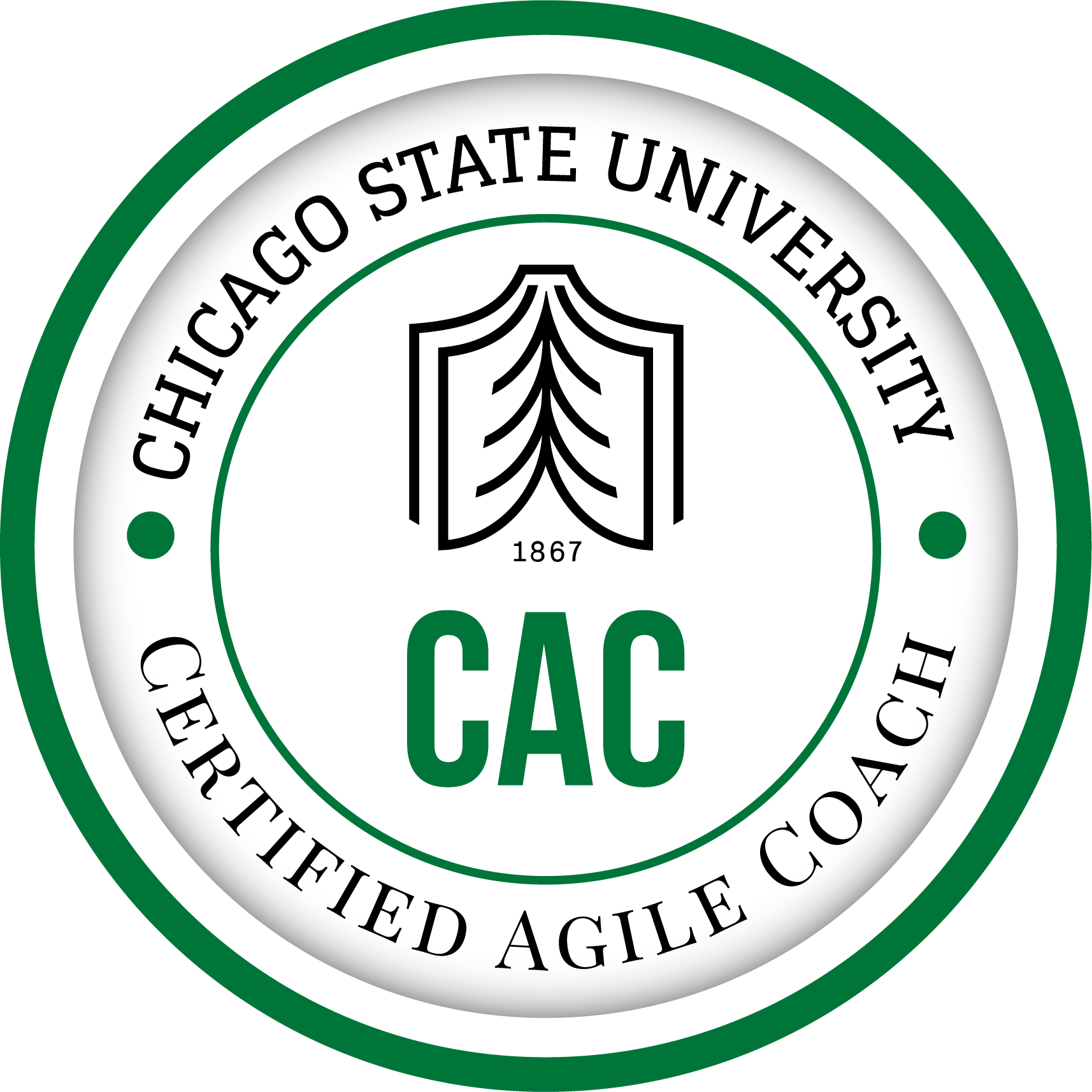 Certified Agile Coach (CAC) from Chicago State University 