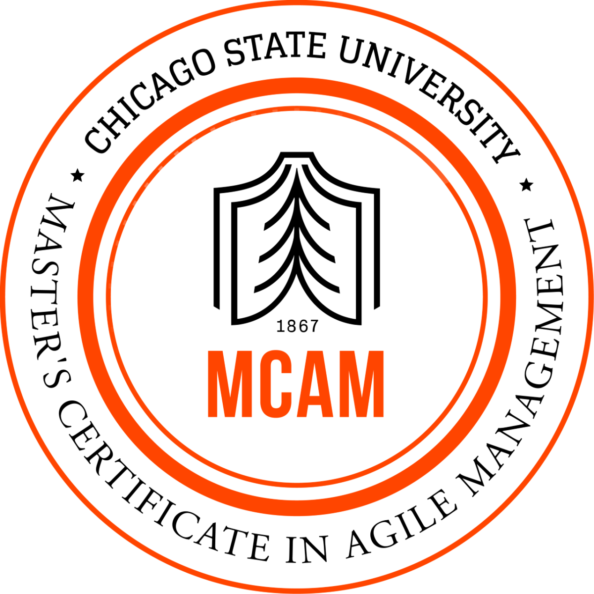 MCAM Cert Agile Certifications In USA And Worldwide