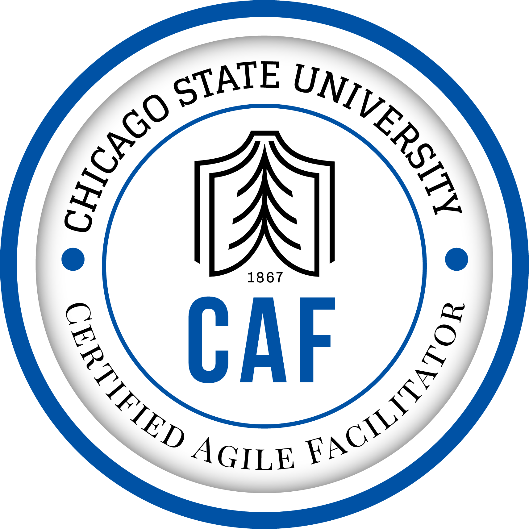 Certified Agile Coach (CAC) from Chicago State University 