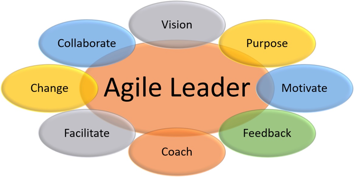 Agile Leader's Functions