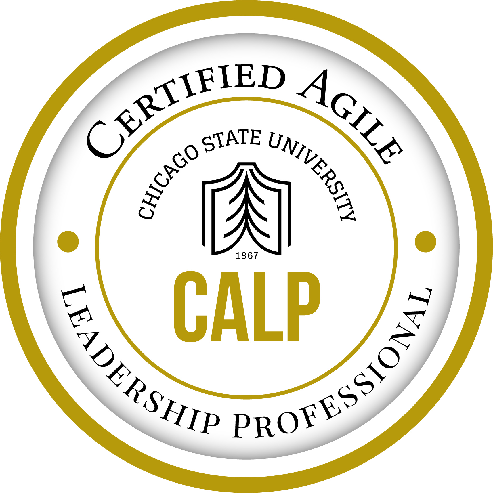 Certified Enterprise Agile Coach (CEAC) from Chicago State University 