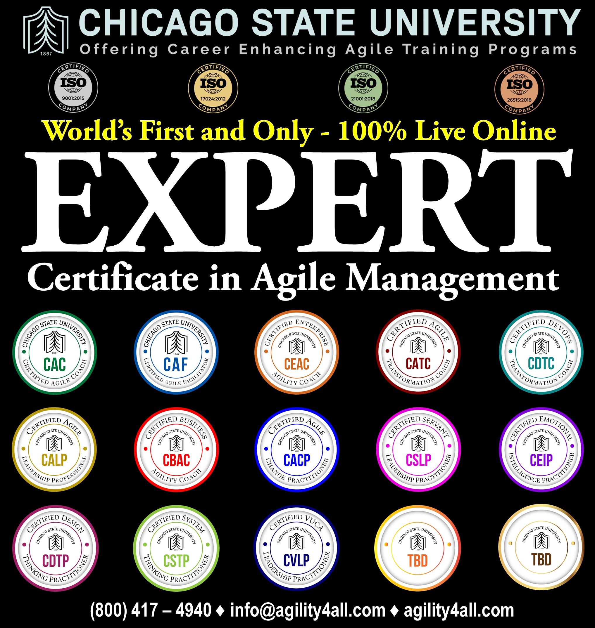 Expert Certificate in Agile Management (ECAM)