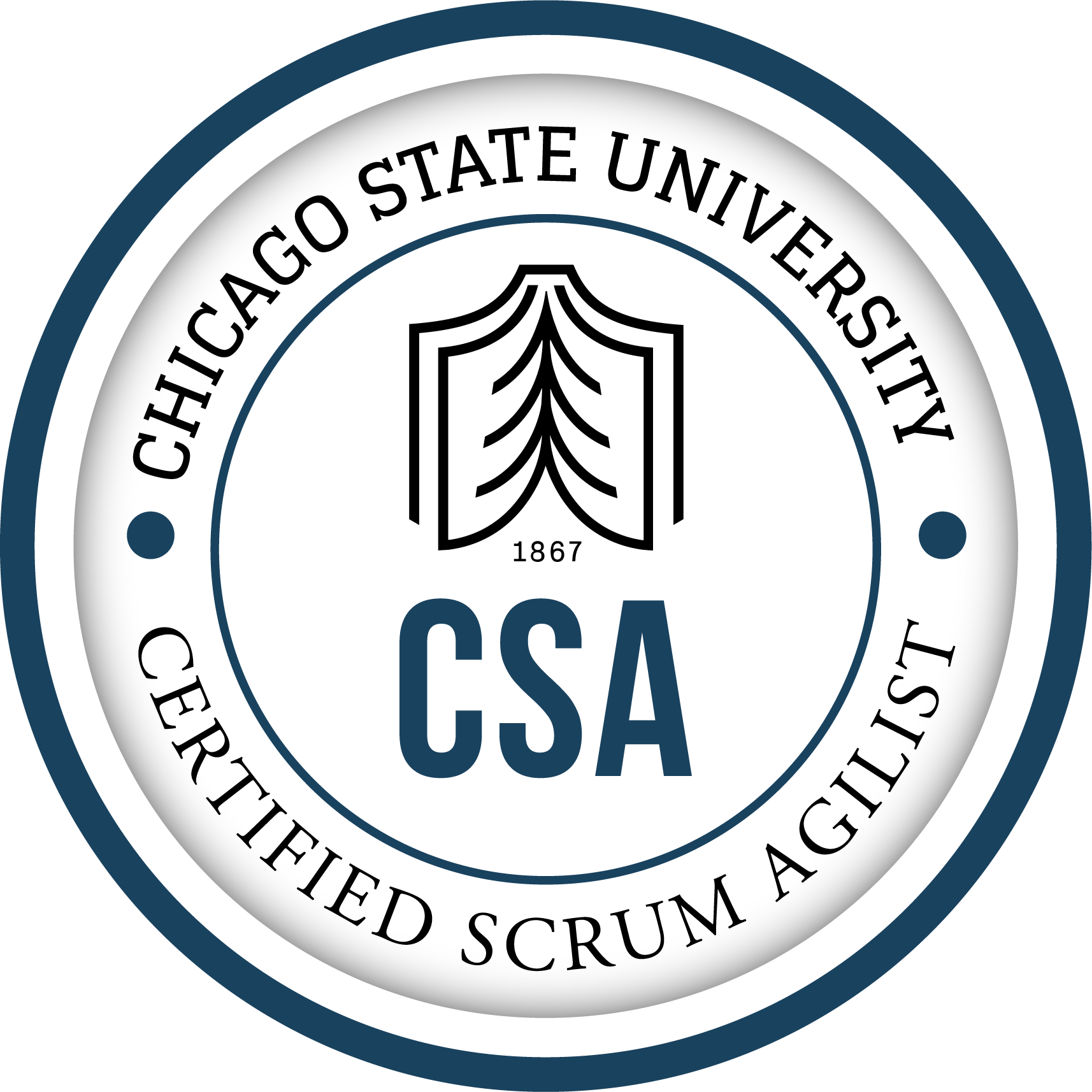 Certified Agile Coach (CAC) from Chicago State University 